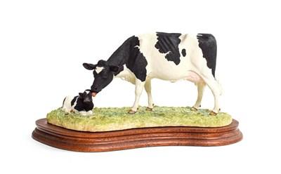 Lot 46 - Border Fine Arts 'Holstein Friesian Cow And Calf', model No. B0309 by Kirsty Armstrong, limited...