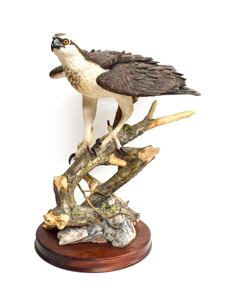 Lot 65 - Border Fine Arts 'Prince Of The Loch' (Osprey), model No. B0651 by Richard Roberts, limited edition