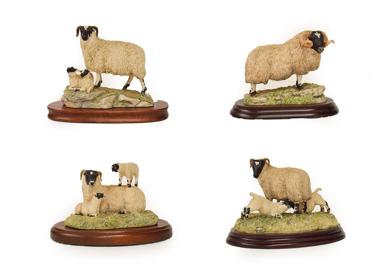 Lot 70 - Border Fine Arts Sheep Groups Including: 'Blackfaced Ewe and lambs' (Style Two), model No. 124,...