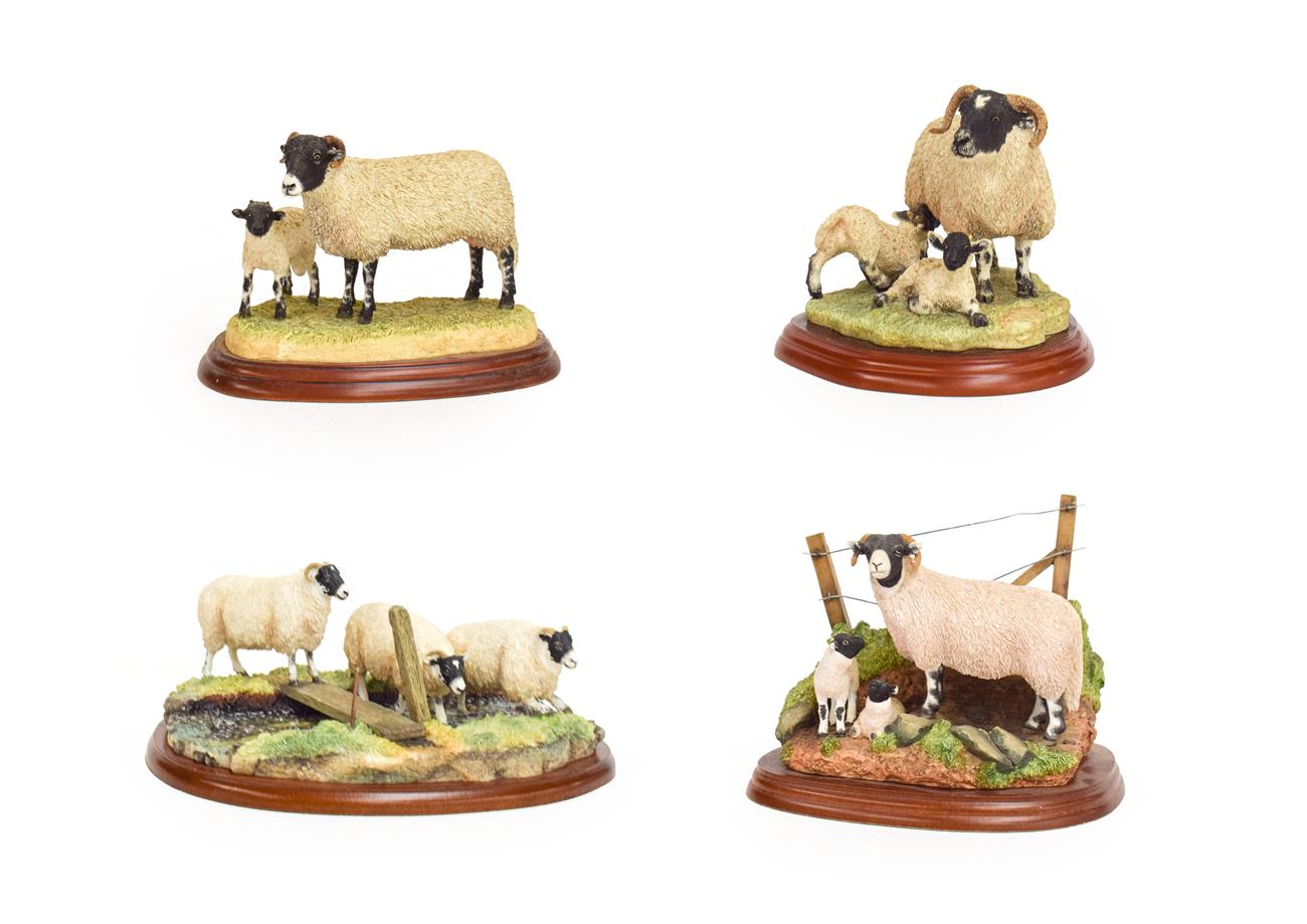 Lot 78 - Border Fine Arts Studio Sheep Groups Comprising: 'Blackfaced Ewes', model No. A27074,...