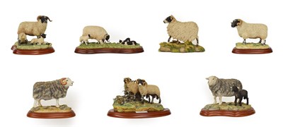 Lot 79 - Border Fine Arts Studio Sheep Groups Including: 'Bolted', model No. A1017, 'Herdwick Ram',...