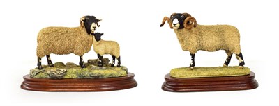 Lot 84 - Border Fine Arts 'Swaledale Tup' (The Monarch of the Dales), model No. L148, limited edition...