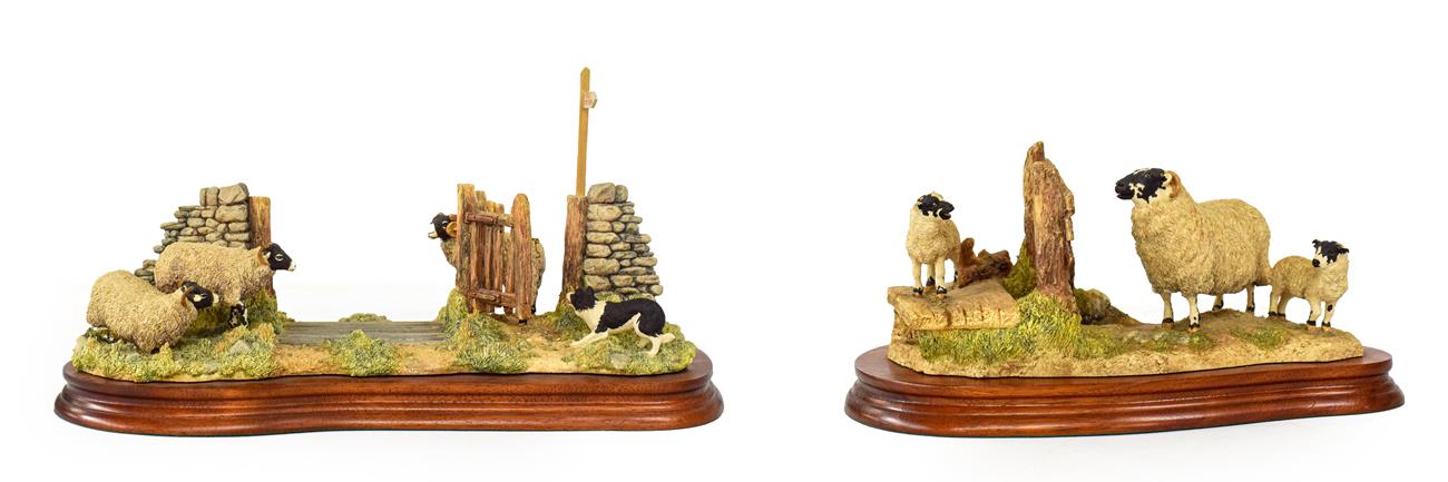 Lot 97 - Border Fine Arts 'Wrong Side Of The Fence' (Ewe and Lambs), model No. JH100 by Anne Wall,...