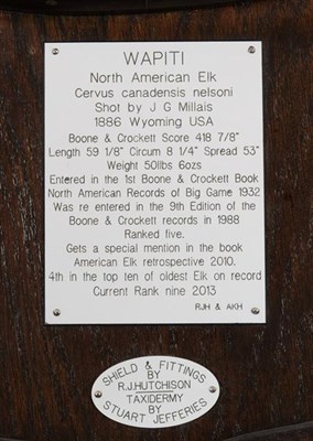 Lot 108 - Taxidermy: North American Wapiti or Elk (Cervus canadensis nelsoni), circa 1886, Wyoming, USA,...