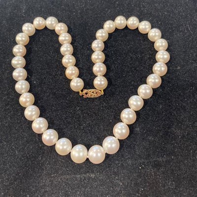 Lot 2010 - A South Sea Cultured Pearl Necklace, the forty uniform cultured pearls knotted to an oval 9...