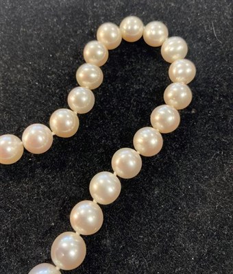 Lot 2010 - A South Sea Cultured Pearl Necklace, the forty uniform cultured pearls knotted to an oval 9...