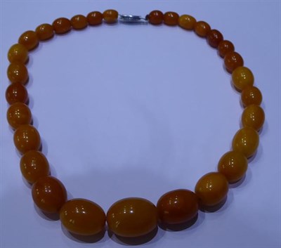 Lot 2011 - An Amber Bead Necklace, formed of twenty-nine graduated amber beads, length 44.5cm see illustration
