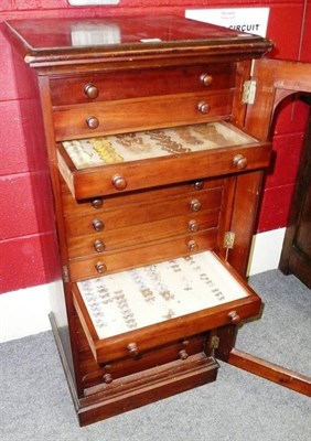 Lot 1096 - A 19th Century Mahogany Butterfly Specimen Chest of Drawers, with fifteen glazed drawers containing