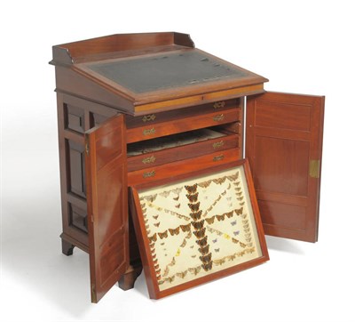 Lot 1127 - A Late Victorian Mahogany Davenport Containing an Extensive Collection of Butterflies and...