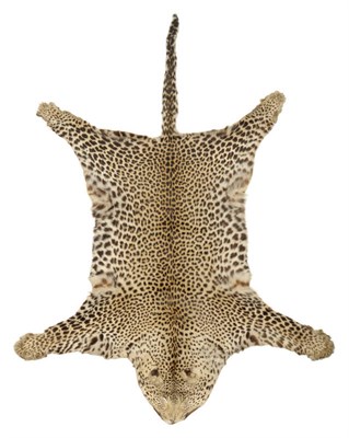 Lot 1128 - Leopard (Panthera pardus), circa 1959, flat skin rug, 217cm long nose to tail tip, 140cm across...