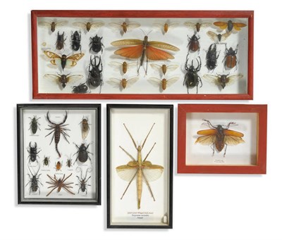 Lot 1131 - A Collection of Diverse Insects, Spiders and Scorpions, in four glazed wall hanging cabinets,...