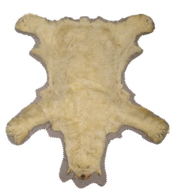 Lot 1155 - Polar Bear (Ursus Arctos), circa 1960, skin rug, flat head, upon original grey felt backing...