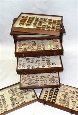 Lot 1159 - Butterflies and Moths: an eight-drawer deal entomological cabinet, 48.5cm wide, 59cm high...