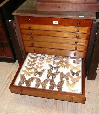 Lot 1160 - Butterflies and Moths: an Oology Hills mahogany eight-drawer cabinet, 63cm wide, 62cm high,...