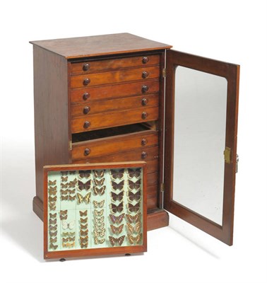 Lot 1161 - Butterflies and Moths: a twelve-drawer pine/deal cabinet with glazed door, 50.5cm wide, 86cm...