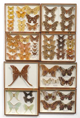 Lot 1174 - Butterflies and Moths: four deal entomological store boxes of Continental collection of bred...