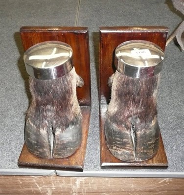 Lot 1186 - A Pair of Buffalo Foot Bookends, with silver plated caps and on L shape wood brackets, 25.5cm high