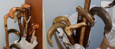 Lot 447 - A quantity of walking sticks and canes (17)