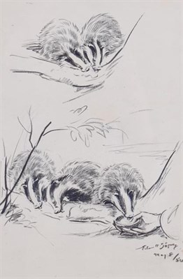 Lot 208 - Eileen Soper RMS, SWLA (1905-1990)  ''Feeding Badger cubs syrup''  Signed and dated May 8/50,...
