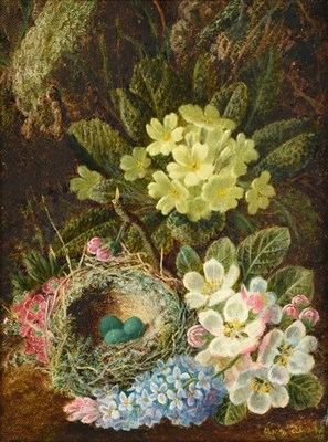 Lot 212 - Attributed to Oliver Clare (1853-1927) Still life of a birds nest, blossom, and primroses on a...