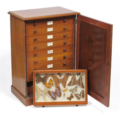 Lot 1228 - Moths and Butterflies:  A Mahogany Ten Drawer Specimen Cabinet, Watkins & Doncaster "The...