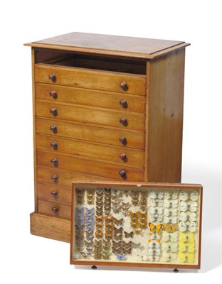 Lot 1229 - Moths and Butterflies: A Stained Pine Ten Drawer Specimen Cabinet, containing principally a...