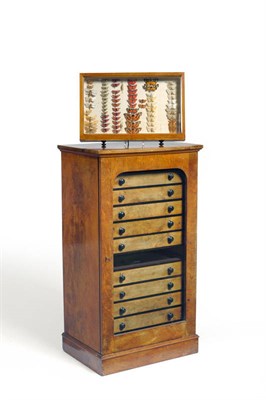 Lot 1240 - A Victorian Twelve Drawer Figured Walnut Butterfly Collector's Cabinet, circa 1890, the arched...