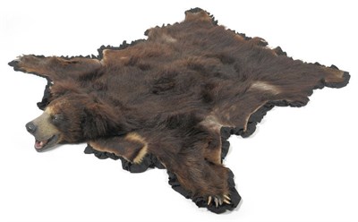 Lot 1242 - Sloth Bear (Melursus ursinus), Van Ingen & Van Ingen, Mysore circa 1930, rug with head mount, 200cm