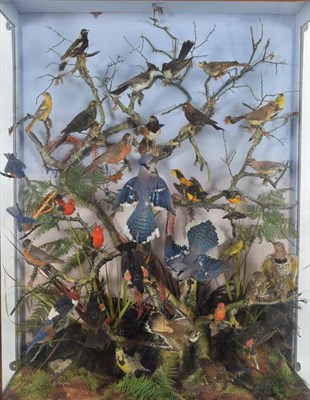 Lot 294 - Taxidermy: A Large Cased Diorama of Birds Native to North America, circa 1857-1878, by Henry Ward