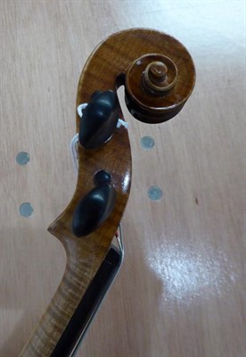 Lot 3022 - Violin 14'' two piece back, ebony fingerboard and pegs, labelled 'Briani Cipriano Vicentino'