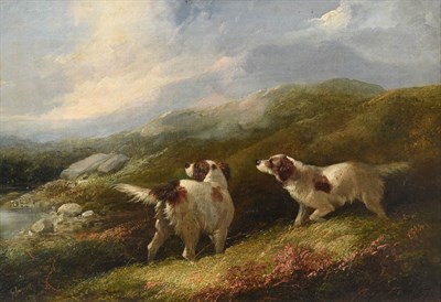 Lot 1150 - George Armfield (1808-1893)  Setters in a landscape  Signed, oil on canvas, 21.5cm by 35cm...