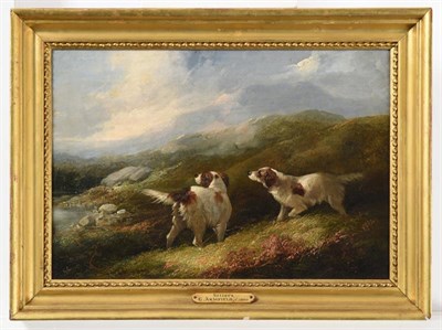 Lot 1150 - George Armfield (1808-1893)  Setters in a landscape  Signed, oil on canvas, 21.5cm by 35cm...