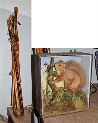 Lot 415 - Ten various sticks etc including a cased taxidermy squirrel