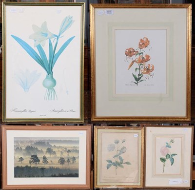 Lot 1040 - A collection of 19th and 20th century botanical prints, framed and glazed (qty)
