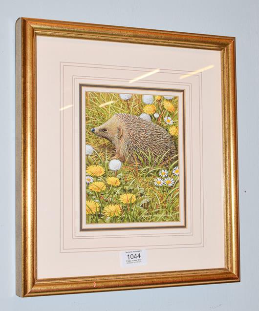 Lot 1044 - Ralph Waterhouse (Contemporary), A hedgehog, signed, gouach, 17cm by 13.5cm