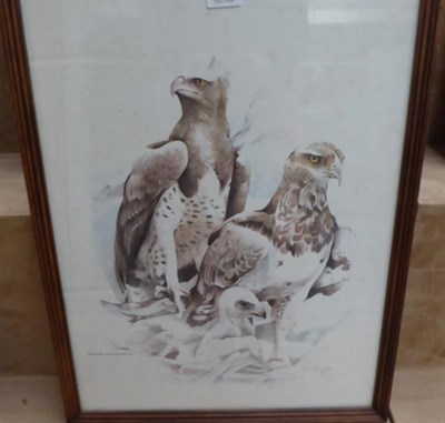 Lot 1077 - A set of six oak framed prints depicting birds of prey (6)