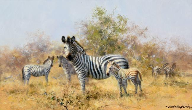 Lot 2092 - David Shepherd CBE, FRSA, FGRA (1931 -2017) Zebras Signed and dated (19)97, oil on canvas, 22cm...
