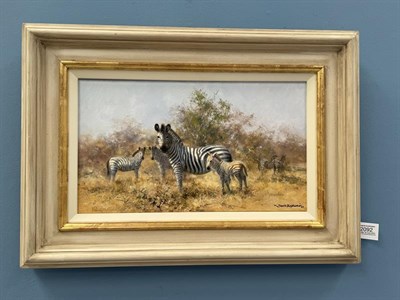 Lot 2092 - David Shepherd CBE, FRSA, FGRA (1931 -2017) Zebras Signed and dated (19)97, oil on canvas, 22cm...