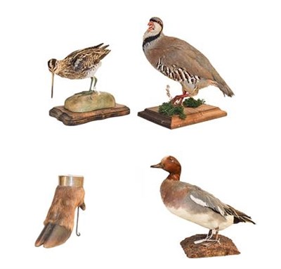 Lot 103 - Taxidermy: a collection of countryside game birds, comprising a French Partridge, Common Snipe, and