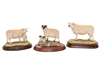 Lot 133 - Border Fine Arts 'Texel Ram' (Style One), model No. L108 by Ray Ayres, limited edition 804/850;...