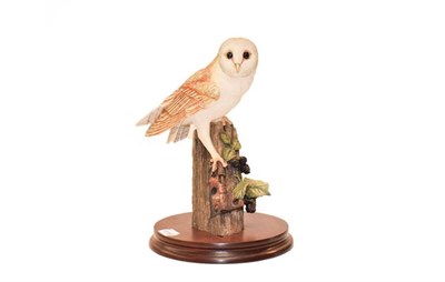Lot 143 - Border Fine Arts Bird and Wildlife Group including: 'Barn Owl' (Style Three), model No. RB15,...