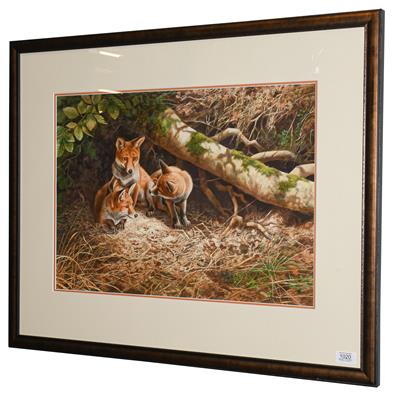 Lot 1020 - Adrian Rigby (Contemporary) Foxes sheltering  Signed, gouache, 41cm by 58.5cm  Artist's Resale...