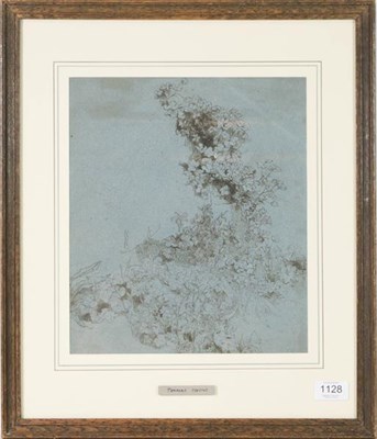 Lot 1128 - Thomas Uwins RA RWS (1782-1857) Study of ivy, Pen and ink, 30.5cm by 26cm