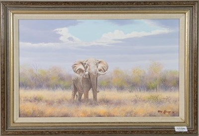 Lot 1134 - Wim Kosch (Contemporary) South African Elephant, Signed and dated (19)96, oil on board, 31cm by...