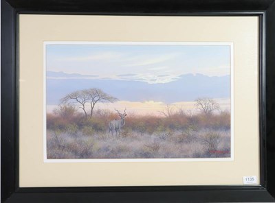 Lot 1135 - Wim Kosch (Contemporary) South African, Kudu, Signed and dated (19)96, oil on board, 31cm by...