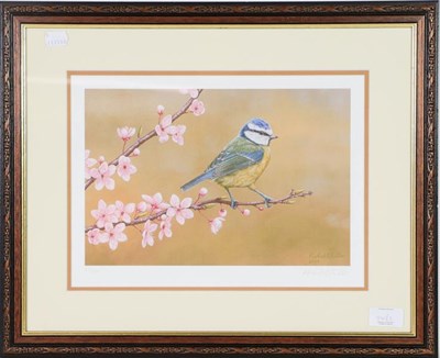 Lot 1141 - A set of limited edition Robert Fuller prints, a robin, blue tit and woodpecker, 24cm by 33cm (3)
