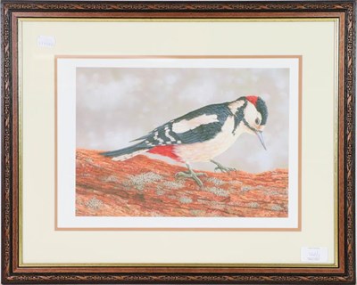 Lot 1141 - A set of limited edition Robert Fuller prints, a robin, blue tit and woodpecker, 24cm by 33cm (3)