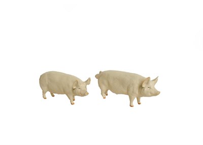 Lot 8 - Beswick comprising Boar Ch. ''Wall Champion Boy 53rd'', model No. 1453A and Sow Ch. ''Wall...
