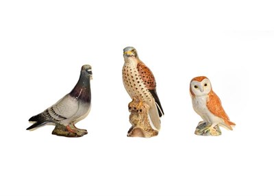 Lot 9 - Beswick birds including 'Barn Owl', 'Jay', 'Lesser Spotted Woodpecker', 'Lapwing', 'Cuckcoo'...