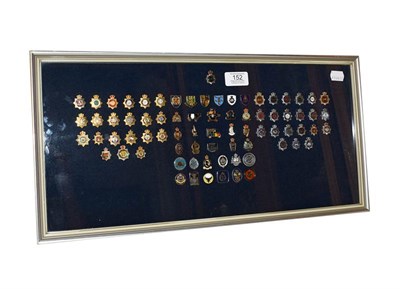 Lot 152 - A collection of seventy-six Elizabeth II police tie pins, framed, 23cm by 49cm